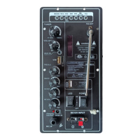 Module d'amplificateur de puissance à plaque Audio Pro, Module d'amplificateur de puissance le plus récent avec télécommande