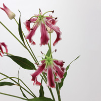 AR-1122 PU Feuer Lily Real Touch Long Branch 75CM Neue Ankunft Künstliche Gloriosa Blume für Zuhause