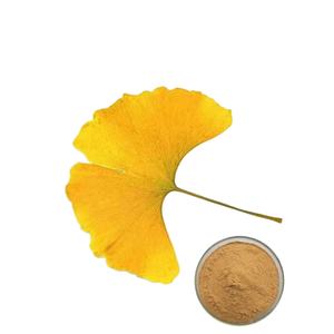 Заводской поставщик, экстракт гинкгола билоба, порошок, гинкго билоба, экстракт фолия, гингофлавонес 24%, тлактон 6% - Product Image 1