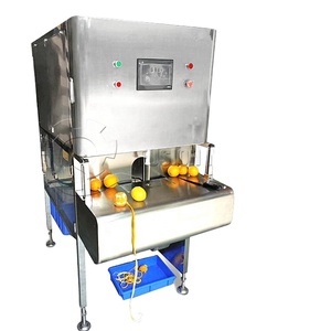 Prix de la machine à éplucher l'ail Eplucheur automatique de fruits Eplucheur d'ail Equipement pour éplucher les légumes - Product Image 4
