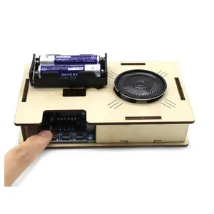 Kids DIY Wood Phonograph Assembling Model Hand Made Assembling Recorder Puzzles Science Technology Stem Educational Toys