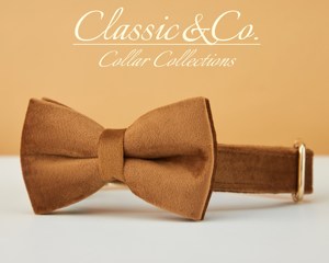 Collar de Perro Personalizado Color Café con Lazo y Correa, Grabado con Nombre de Mascota, Hebilla Metálica, Regalo de Cumpleaños para Cachorro, Envío Gratis - Product Image 4