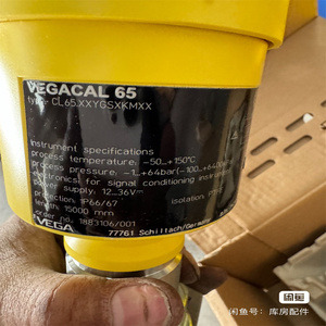 VEGACAL 65 Interrupteur de niveau à flotteur en aluminium Précision DE 2 mm Mesure de niveau continue CL65.XXKGSRKMX Câble de 2,5 m - Product Image 3