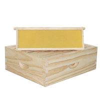 10PCS Kiefernholz Medium Super Bee Rahmen mit gelben Kunststoff fundament platten, Langs troth Bienenstock Teile Unmontiert