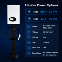 Estación de Carga para Vehículos Eléctricos, Estaciones de Carga de Piso de 30KW, 40KW, 60KW, CCS2, Carga Rápida DC, CCS1, Ocpp1.6j, 20KW