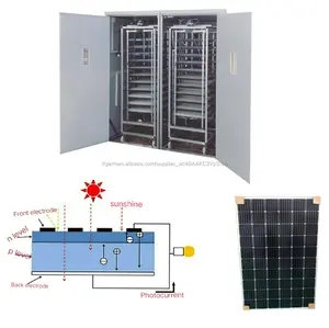 Fabrik direkt verkäufe voll automatische temperatur steuerung solar inkubator