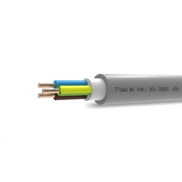 Câble NYM 300/500V basse tension, auto-extinguissant, isolé en PVC, fil électrique en cuivre 1,5mm² 2,5mm² 4mm² pour la construction