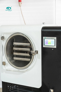 Secador por Congelación Automático SCIENTZ-50YGA, Tipo Campana, para Uso Comercial y Doméstico, Equipo <span class=keywords><strong>de</strong></span> <span class=keywords><strong>Laboratorio</strong></span> <span class=keywords><strong>de</strong></span> Química - Product Image 4