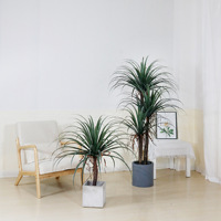 Plante verte d'intérieur nordique décorative en pot, Arbre du sang de dragon à tiges épaisses, Grand modèle tendance, Artificiel, Écologique, Réaliste, 80 cm
