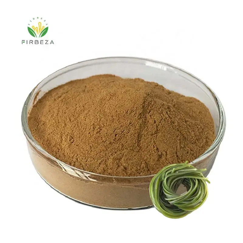 High Quality Best Price Natural Ecklonia Cava Seaweed Extract Powder