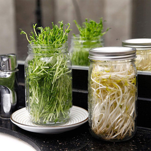Barattolo per Germogli Grande da 500ml, 750ml, 1000ml con Coperchio da 86mm per Broccoli, Alfalfa, Fagioli Mung e Microgreens - Product Image 3