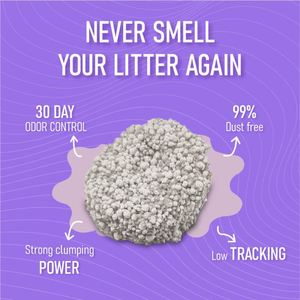 OEM Blended <b>cat</b> Litter, Customizable Design, Fast Absorption, Dust-free, Pet-grade Bentonite <b>cat</b> Litter. - Product Image 4