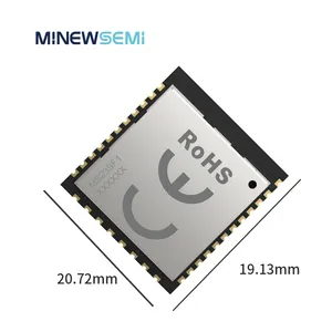 MinewSemi LoRaWAN modul Power modul daya rendah jarak jauh mendukung frekuensi Global ISM