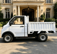 Pick-up électrique 4x4, design tout-terrain, homologation EEC COC, conduite à gauche, cabine spacieuse de 1,35 m, fonction de basculement hydraulique