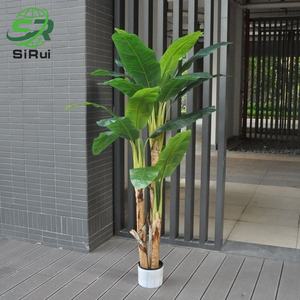 Bananier artificiel <span class=keywords><strong>en</strong></span> plastique grand bonsaï plante au sol décoration intérieure écologique haut de gamme <span class=keywords><strong>en</strong></span> <span class=keywords><strong>vrac</strong></span> <span class=keywords><strong>en</strong></span> stock - Product Image 3