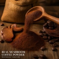 Café aux champignons Reishi OEM ODM Marque Privée Mélange de Boisson Instantanée Énergie Naturelle pour Autres Compléments Santé