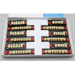 ฟันปลอมสังเคราะห์ฟันเรซินเทียม2ชั้น - Product Image 2