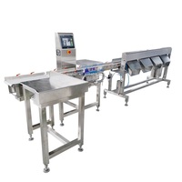 Fabriekslevering Hoge Snelheid Precisie Weging Fruit Sorteermachine Gewicht Sorteerder Afzonderlijk Meervoudig Niveaugewicht