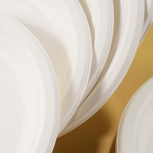 Assiettes jetables écologiques, biodégradables et compostables en bagasse de papier, 6, 7, 9, 10 pouces, 1 et 3 compartiments, pour fêtes et voyages - Product Image 6