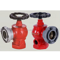 Petit hydrant d'incendie flexible SN65, armoire d'hydrant d'incendie 100 mm, 2 voies, extérieur, DN65 PN16, fonte ductile