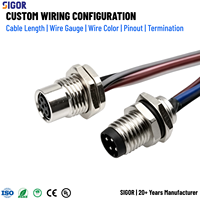 Arnés de Cableado Personalizado M12 de Cobre para Montaje en Panel con Soporte FPC, Clasificación 10A para Equipos de Control PLC y Sensores de Automatización Industrial