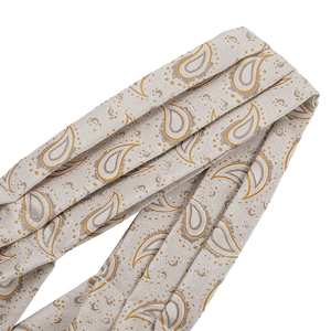 100% microfibre Polyester 6 couleurs différentes motif Paisley <span class=keywords><strong>Ascot</strong></span> Cravat cravate pour hommes Cravates adultes de qualité supérieure - Product Image 6