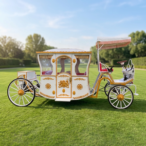 Nuevo Diseño de Carruaje Eléctrico Real, Carruaje Real para Paseos Turísticos, Carruaje Victoria de Alta Calidad, Productos de Carruajes Elegantes - Product Image 1