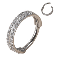 Cincin Segmen Berengsel Titanium Fashion G23/ASTM F136 Dengan CZ Pave Side Hoop, Cincin Hidung, Anting, Perhiasan Tindik Grosir