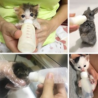 Kit d'allaitement pour animaux de compagnie, pas cher, sucettes pour nouveau-né, 4 tétines Miracle pour chien et chat, bouteille et compte-gouttes
