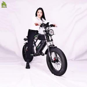 Cuadro de <span class=keywords><strong>bicicleta</strong></span> eléctrica de superpotencia 73, personalizado, <span class=keywords><strong>ciclocross</strong></span>, Cruiser, Chopper, neumático ancho - Product Image 6