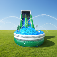 WINSUN - Glissade aquatique gonflable à glissière latérale avant personnalisée et colorée, avec piscine, vente chaude