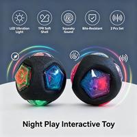 LED-Vibrationslicht-Hundeball, Quietschendes TPR Interaktives Kauspielzeug, Bissresistentes Nachtspiel-Haustierspielzeug