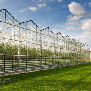 Serre en acier galvanisé <span class=keywords><strong>à</strong></span> chaud <span class=keywords><strong>à</strong></span> faible coût pour concombres et tomates dans des maisons en verre agricole <span class=keywords><strong>à</strong></span> cadre - Product Image 1