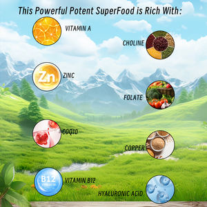 Cápsulas de Hígado de Res Alimentado con Pasto, Etiqueta Personalizada ODM, Suplemento Dietético para Apoyar la Salud del Hígado y los Riñones y Promover la Salud Cerebral para Adultos - Product Image 3