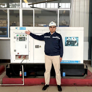 Grupo Electrógeno de 80KW con Carcasa Insonorizada, Funcionamiento Silencioso, 220V/110V 50/60Hz, Arranque Remoto - Product Image 2