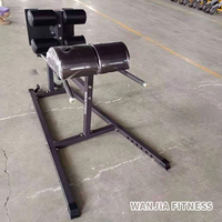 Multi Gym Equipment Sit up Bench Hip Abductor Back Exercise Machine Prone Roman Chair Glute Ham Developer GHD