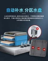 Incubateur d'oeufs double électrique intelligent de vente chaude classique pour les poussins à couver avec contrôle automatique de l'humidité