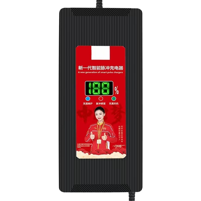 12V 24V 36V 48V 60V 72V 2A 3A 4A 5A 6A 7A 8A Customized Portable Universal Lead Acid Fast Battery Charger Lithium Ion Charger