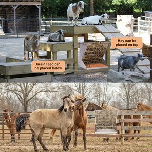 Hay Và Hạt Trung Chuyển Vật Nuôi Trung Chuyển Với Có Thể Điều Chỉnh Khoảng Cách Và Nhiệm Vụ Nặng Nề Thép Hợp Kim Cho Ngựa Dê Cừu Lạc Đà Lừa - Product Image 4
