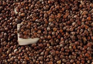 ซัพพลายธรรมชาติโอเมก้า3 50% เคซีน <span class=keywords><strong>Perilla</strong></span> น้ำมันเมล็ดผงไมโครแคปซูล - Product Image 4