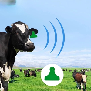 Étiquettes RFID anti-collision GSC 860~960 MHz à lecture longue portée certifiées ISO18000-6C pour l'automatisation des exploitations d'élevage de moutons/vaches/porcs - Product Image 6
