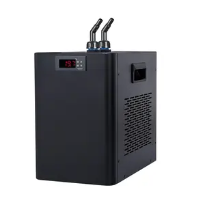 220V 110V Electric Swimming Pool Heating Cooling Pump Water Heater Chiller For Pool Spa Fish Pond