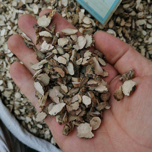 Raiz de Acorus <span class=keywords><strong>Calamus</strong></span> Seco Shui Chang Pu à Venda - Product Image 4