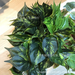 Vigne artificielle de Pothos Dong Hui, guirlande murale verte pour décoration intérieure, 150g, pour mariage et maison - Product Image 2