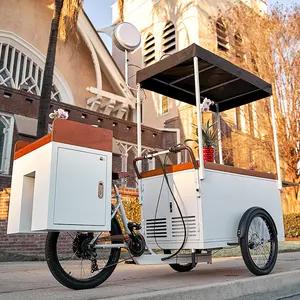 Prosky Ice Cream Bike Chinesischer Elektroauto Fast Food Snack Trailer