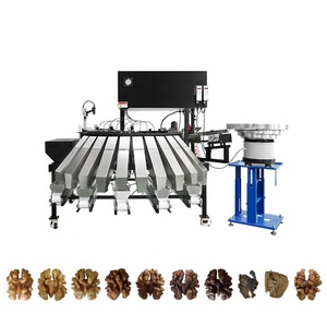 Clasificador de color de nogal de alta calidad de Uzbekistán Precio al por mayor Máquina clasificadora de núcleos con función clasificadora de formas - Product Image 1