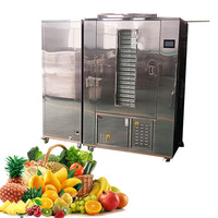 Industriële Plc Geregelde Roestvrijstalen Fruitgroentedroger 500Kg-2000Kg Capaciteit Tandwielkern Voedseldroger Voor Fruitproducten
