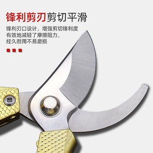 Bonitas tijeras de podar de acero inoxidable con forma de pico de 53 mm, mango antideslizante dorado para cortar ramas gruesas en el jardín. - Product Image 4