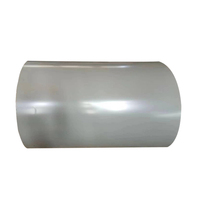 Bobina de Acero PPGI Galvanizado con Recubrimiento de Aluminio y Zinc, Color Personalizado, Directo de Fábrica, Estándar ASTM, Espesor de 0.4 mm, Lámina para Techos de Edificios