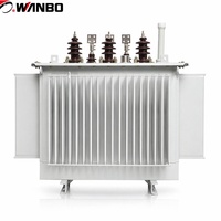Transformateur de distribution de puissance triphasé immergé dans l'huile, bobinage en cuivre, 10 kV, 100 kVA, modèle S11, OEM personnalisé Wanbo-261